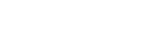 Gatil British Barbato Raça British Shorthair